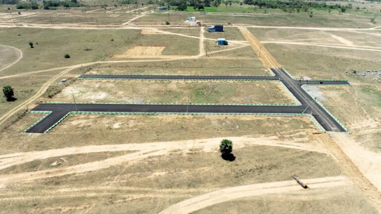 WhatsApp Image 2025-06-19 at 1.36