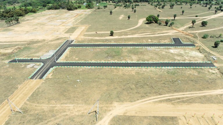 WhatsApp Image 2025-06-19 at 1.37